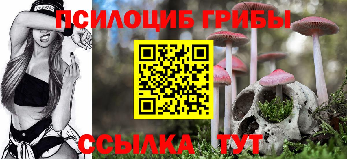 Ростов Великий  Псилоцибиновые грибы Cubensis  Псилоцибиновые грибы GOLDEN TEACHER  Вход с VPN 